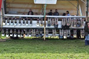 8DSC_4182